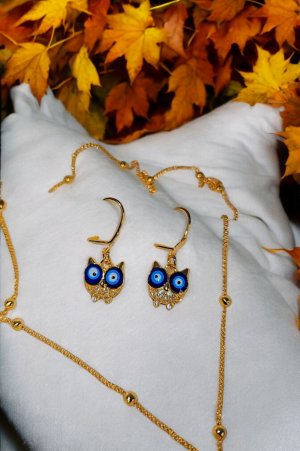 Cute Owl Set